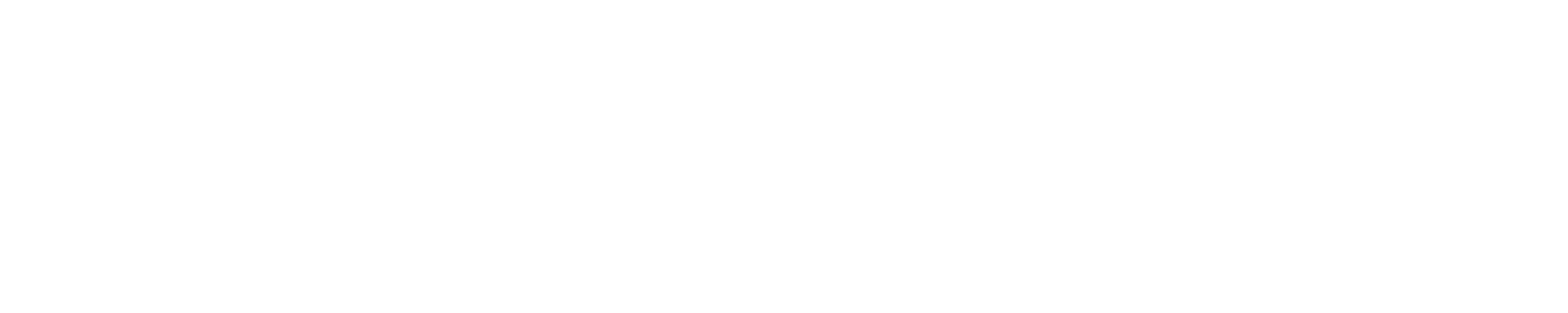 LAN Computer Systems AG